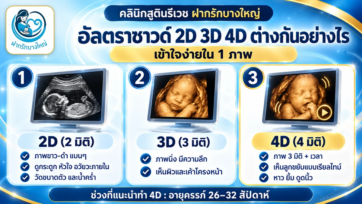 อัลตราซาวด์ 2D 3D 4D ต่างกันอย่างไร — อินโฟกราฟิกเปรียบเทียบ อัลตราซาวด์ 4 มิติ บางใหญ่ นนทบุรี
