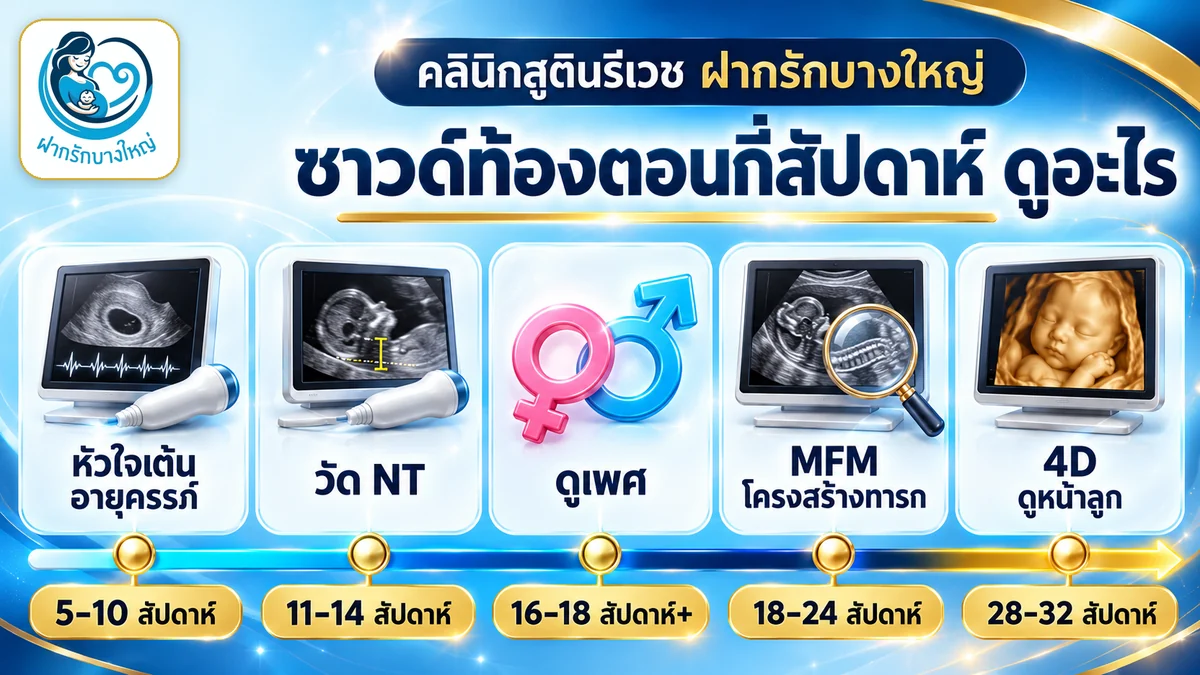 ซาวด์ท้องตอนกี่สัปดาห์ ดูอะไร ไทม์ไลน์อัลตราซาวด์ครรภ์ตามอายุครรภ์ — ฝากรักบางใหญ่ นนทบุรี